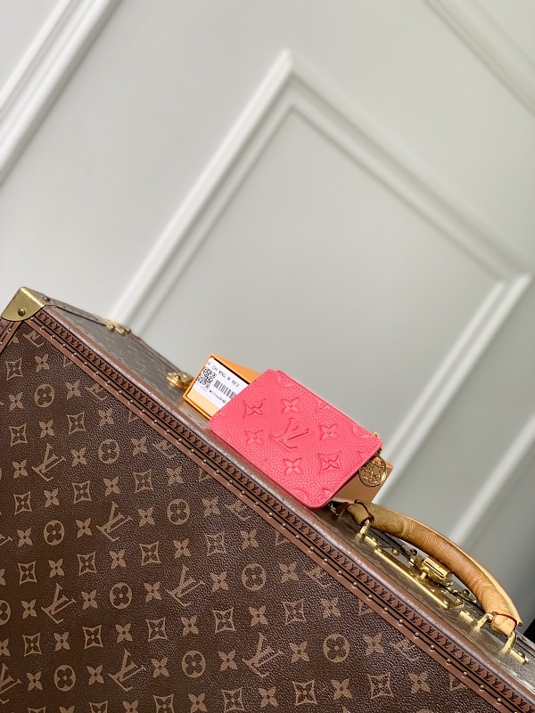 Louis Vuitton card holder