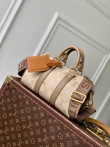 Louis Vuitton travel bag