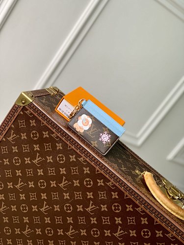 Louis Vuitton card holder