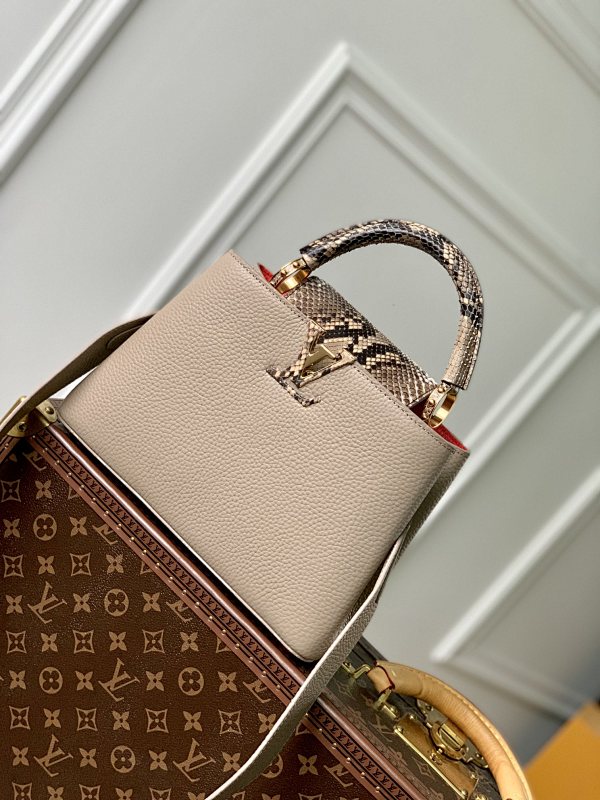 Louis Vuitton bag
