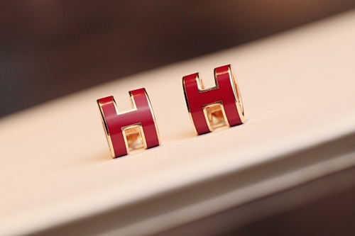 Hermès earrings