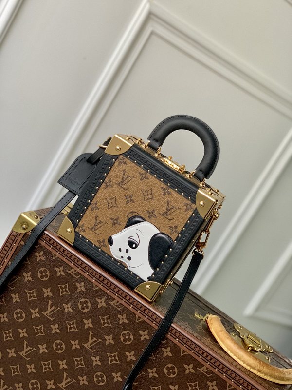 Louis Vuitton bag