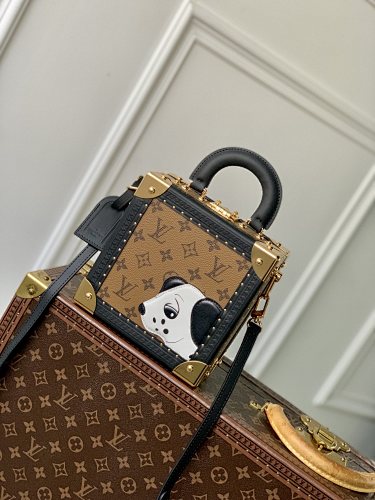 Louis Vuitton bag