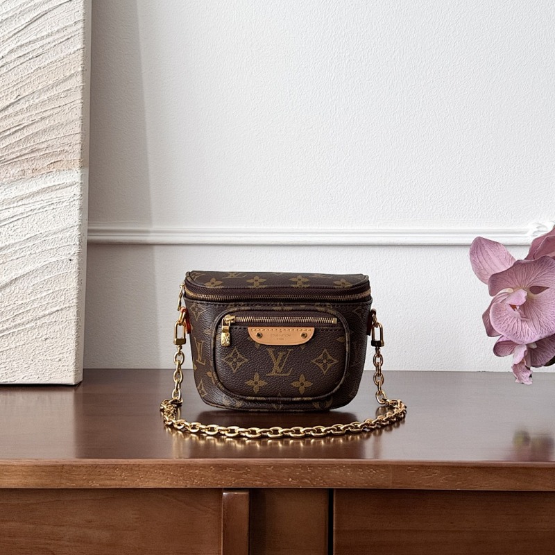 Louis Vuitton belt bag