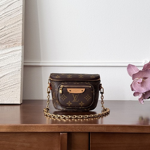Louis Vuitton belt bag