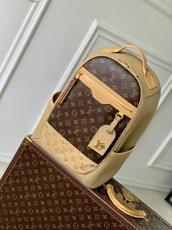 Louis Vuitton backpack