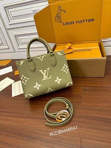 Louis Vuitton bag