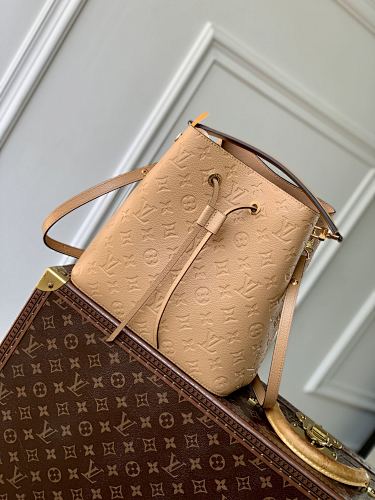 Louis Vuitton crossbody bag