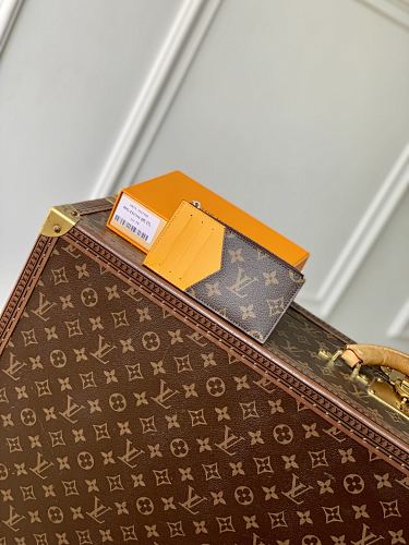 Louis Vuitton card holder