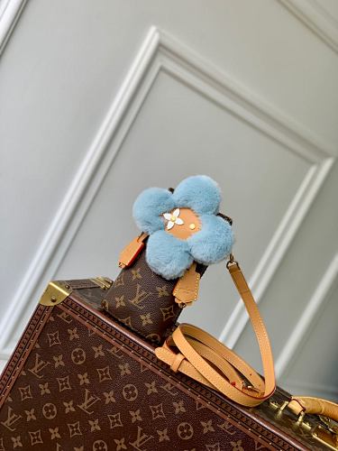 Louis Vuitton bag
