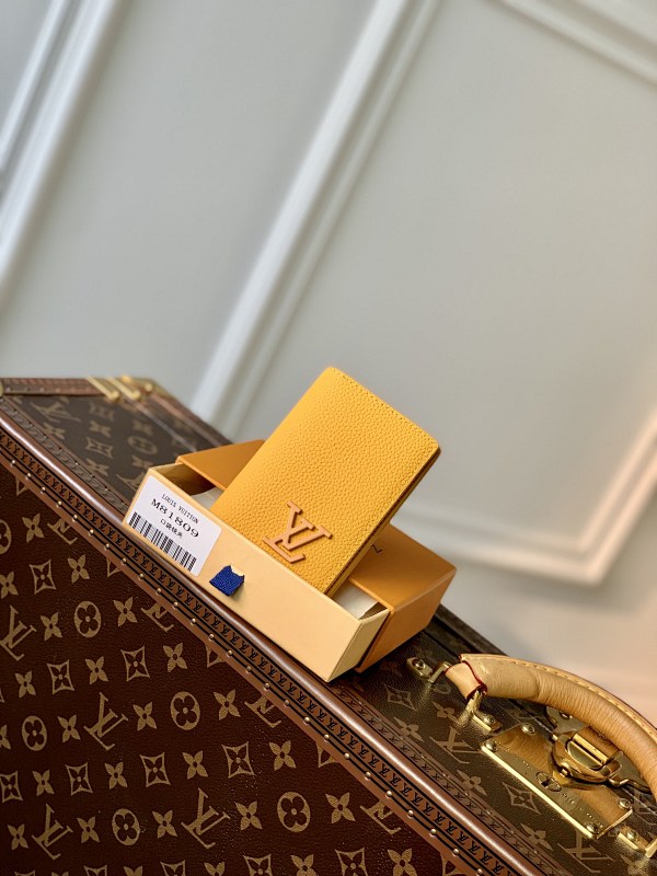 Louis Vuitton card holder