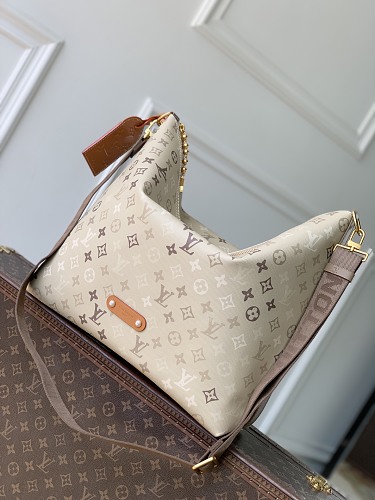 Louis Vuitton shoulder bag