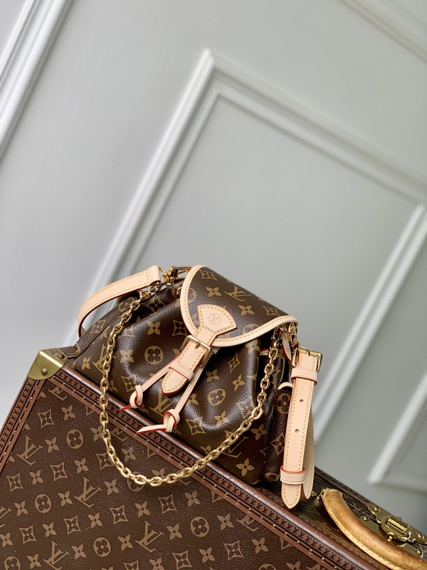 Louis Vuitton bag