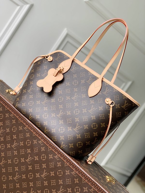 Louis Vuitton bag
