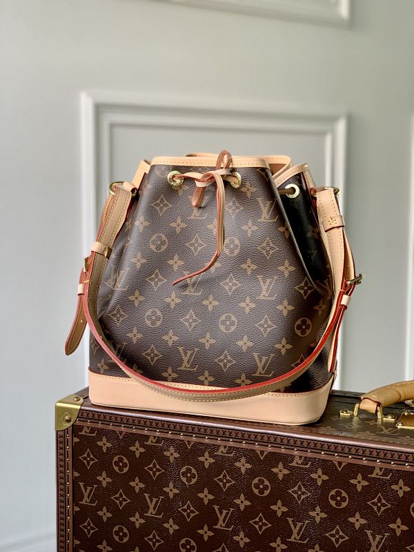 Louis Vuitton bag