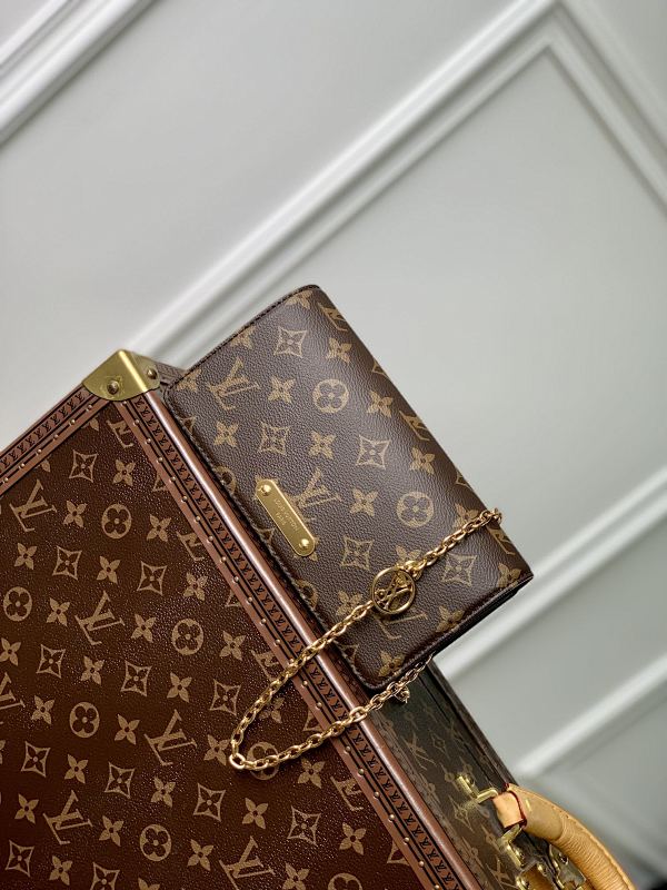 Louis Vuitton wallet