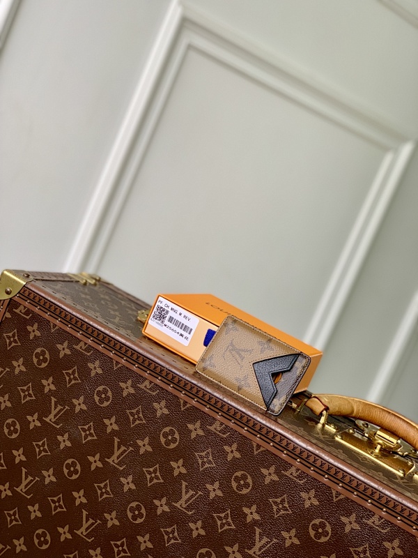 Louis Vuitton card holder