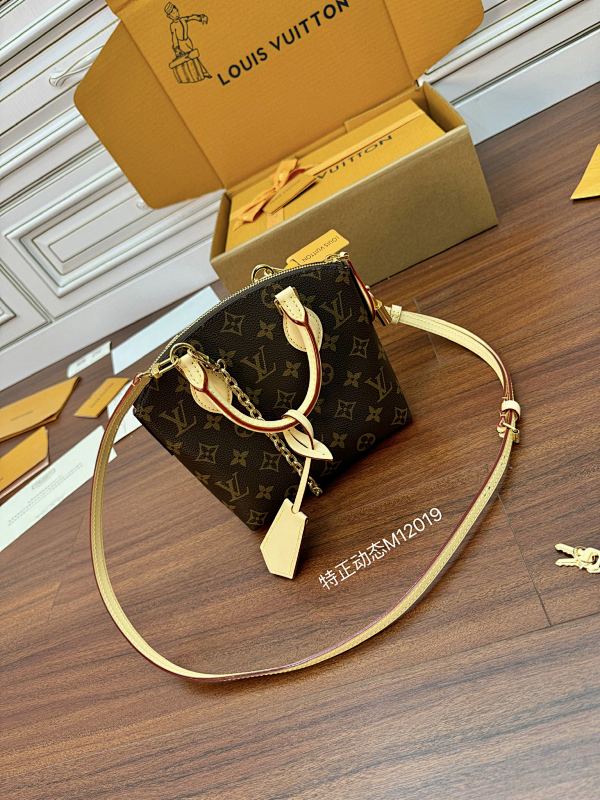 Louis Vuitton bag