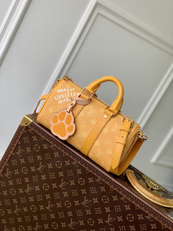 Louis Vuitton travel bag