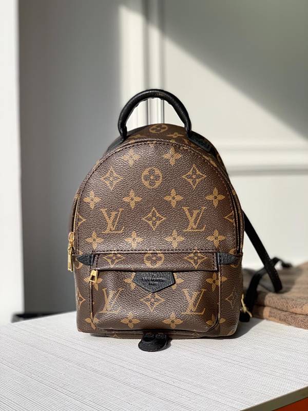 Louis Vuitton backpack