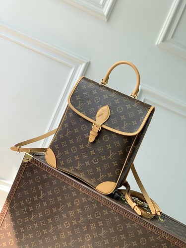 Louis Vuitton backpack