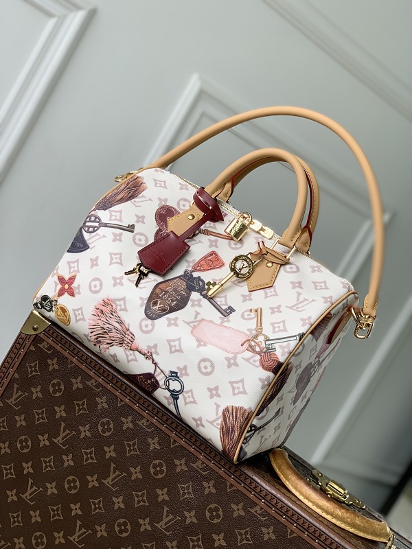 Louis Vuitton bag