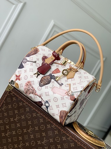 Louis Vuitton bag