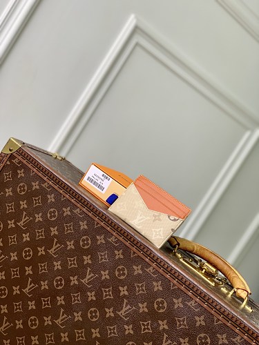 Louis Vuitton card holder