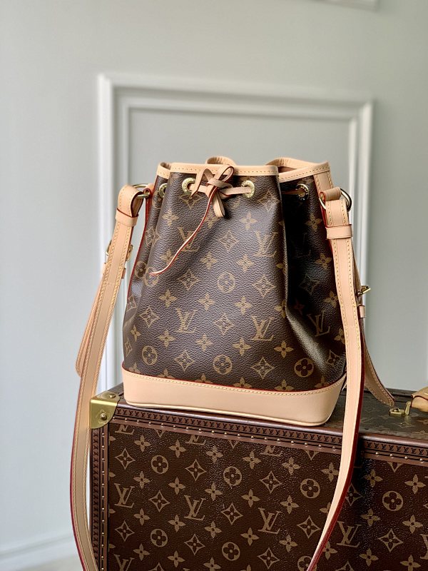 Louis Vuitton crossbody bag