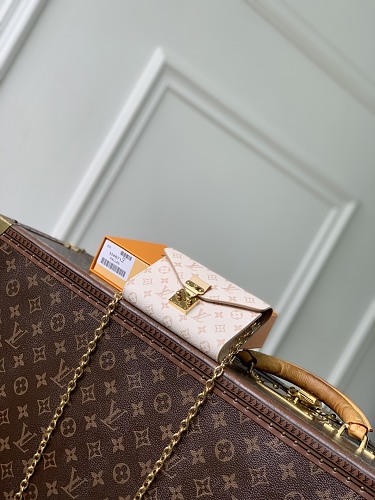Louis Vuitton bag