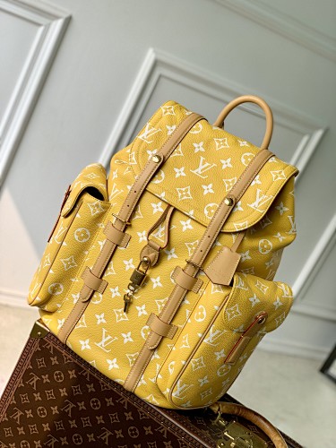Louis Vuitton backpack