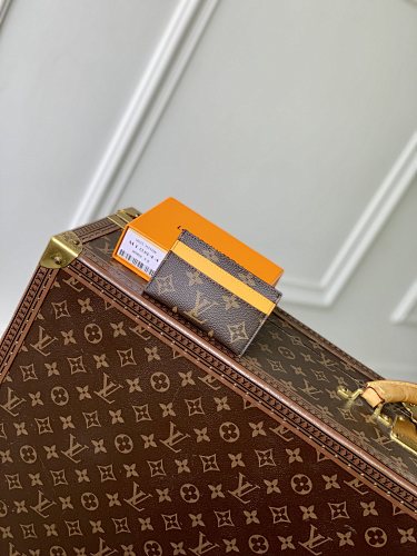 Louis Vuitton card holder