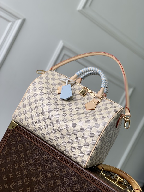 Louis Vuitton bag