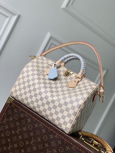 Louis Vuitton bag