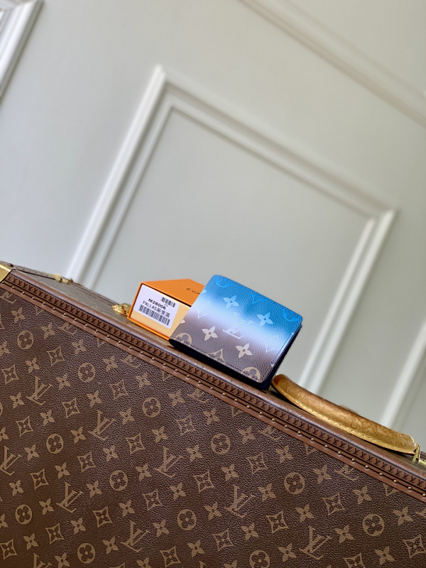 Louis Vuitton wallet