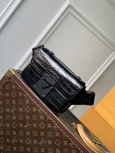 Louis Vuitton belt bag