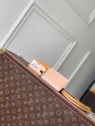 Louis Vuitton card holder