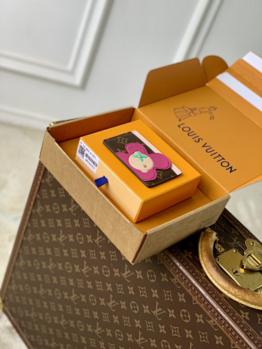 Louis Vuitton card holder