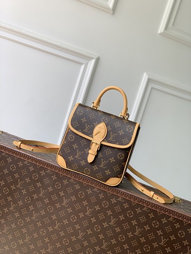 Louis Vuitton backpack