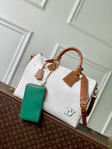Louis Vuitton bag