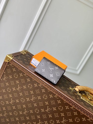 Louis Vuitton card holder