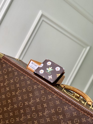Louis Vuitton wallet