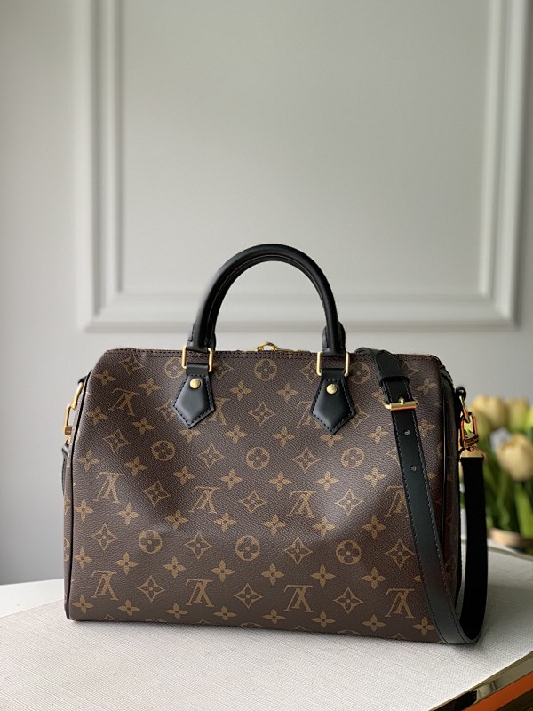 Louis Vuitton bag