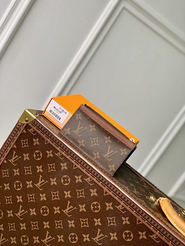 Louis Vuitton card holder