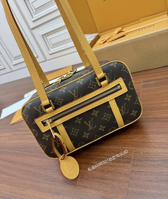 Louis Vuitton bag