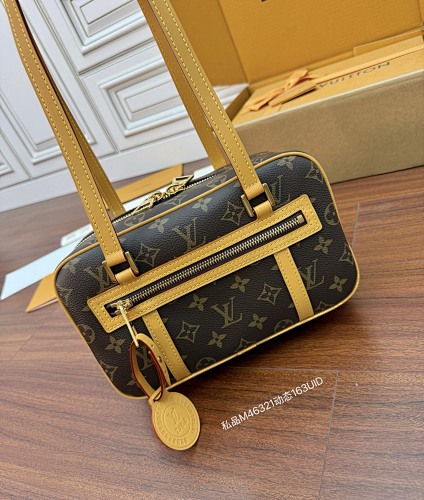 Louis Vuitton bag