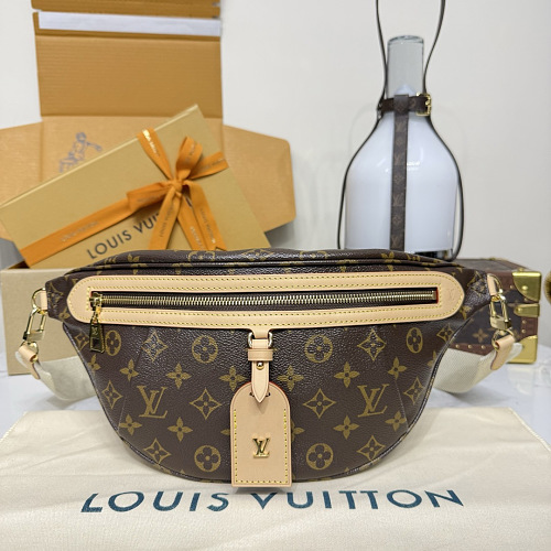 Louis Vuitton belt bag