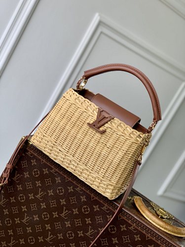 Louis Vuitton bag