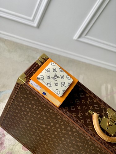 Louis Vuitton wallet