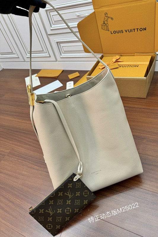 Louis Vuitton bag